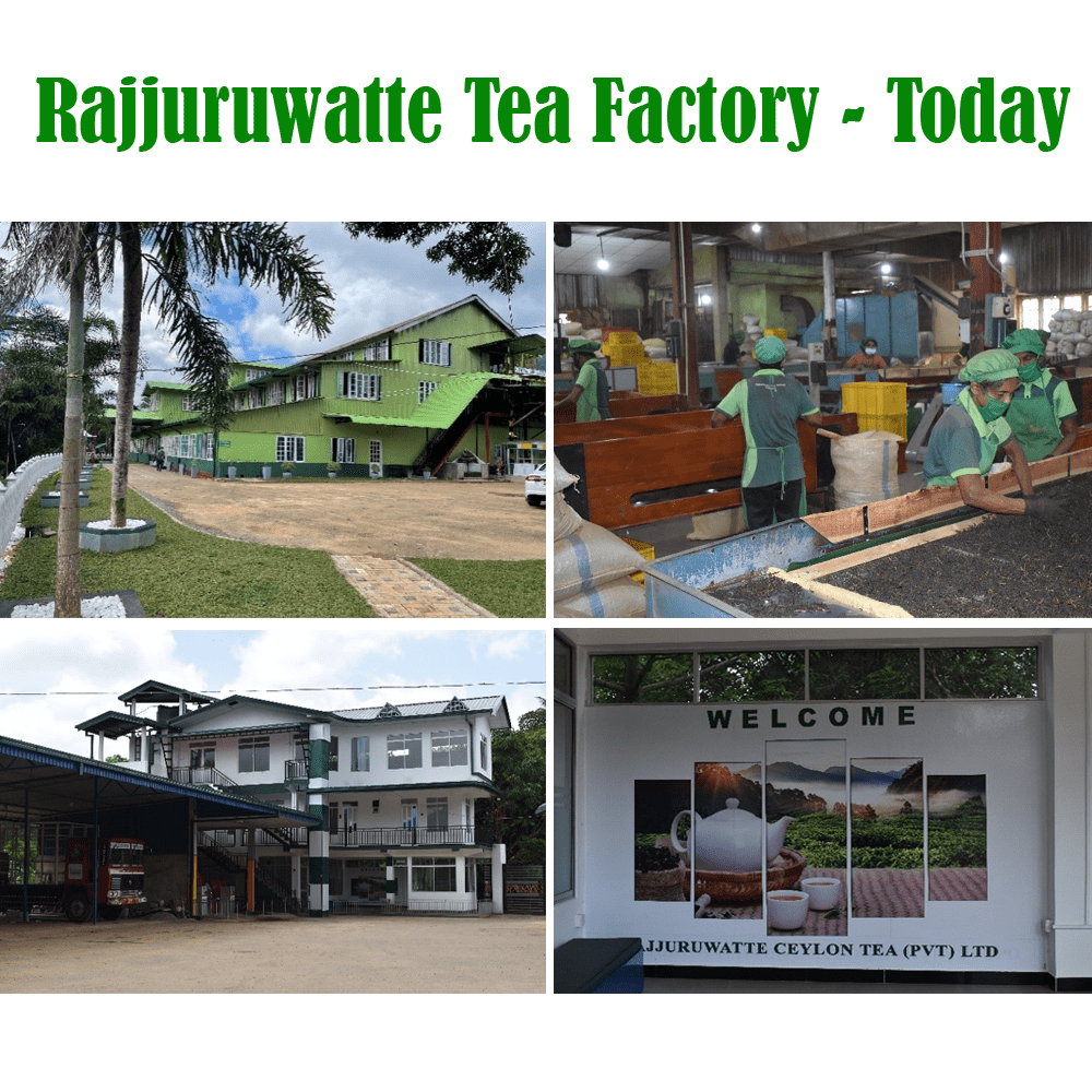 Rajjuruwatte Tea Factory